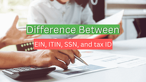 What are the differences between EIN, ITIN, SSN, and tax ID in the United States?