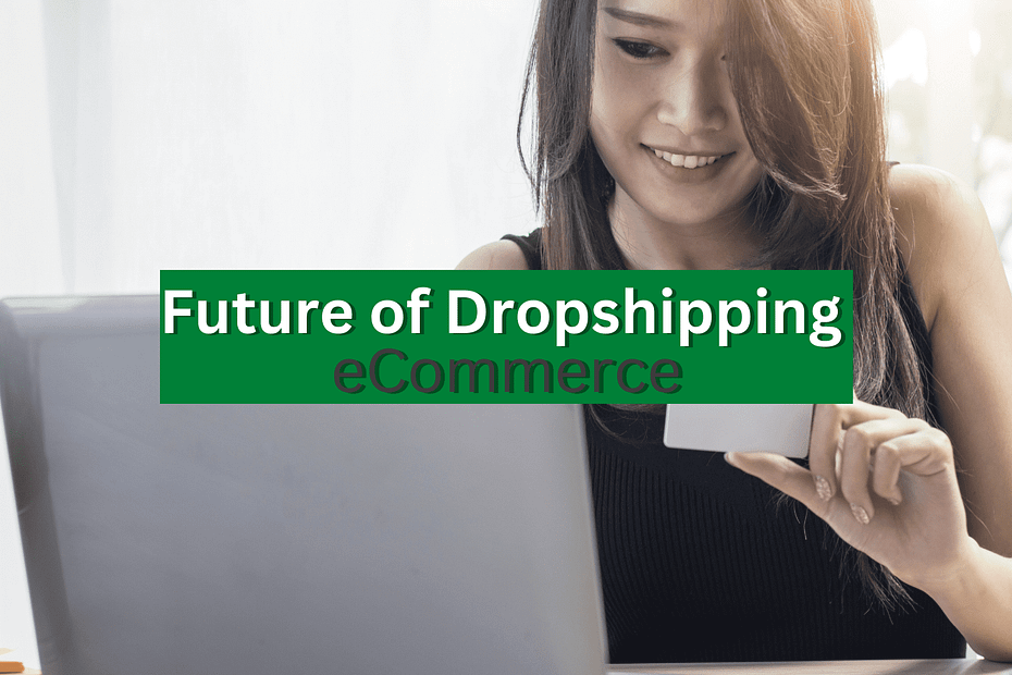 why dropshipping